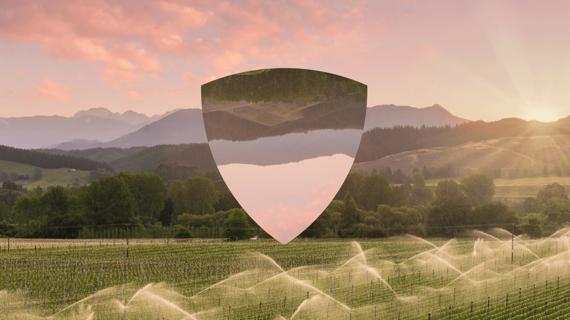 NZ hops logo changeout