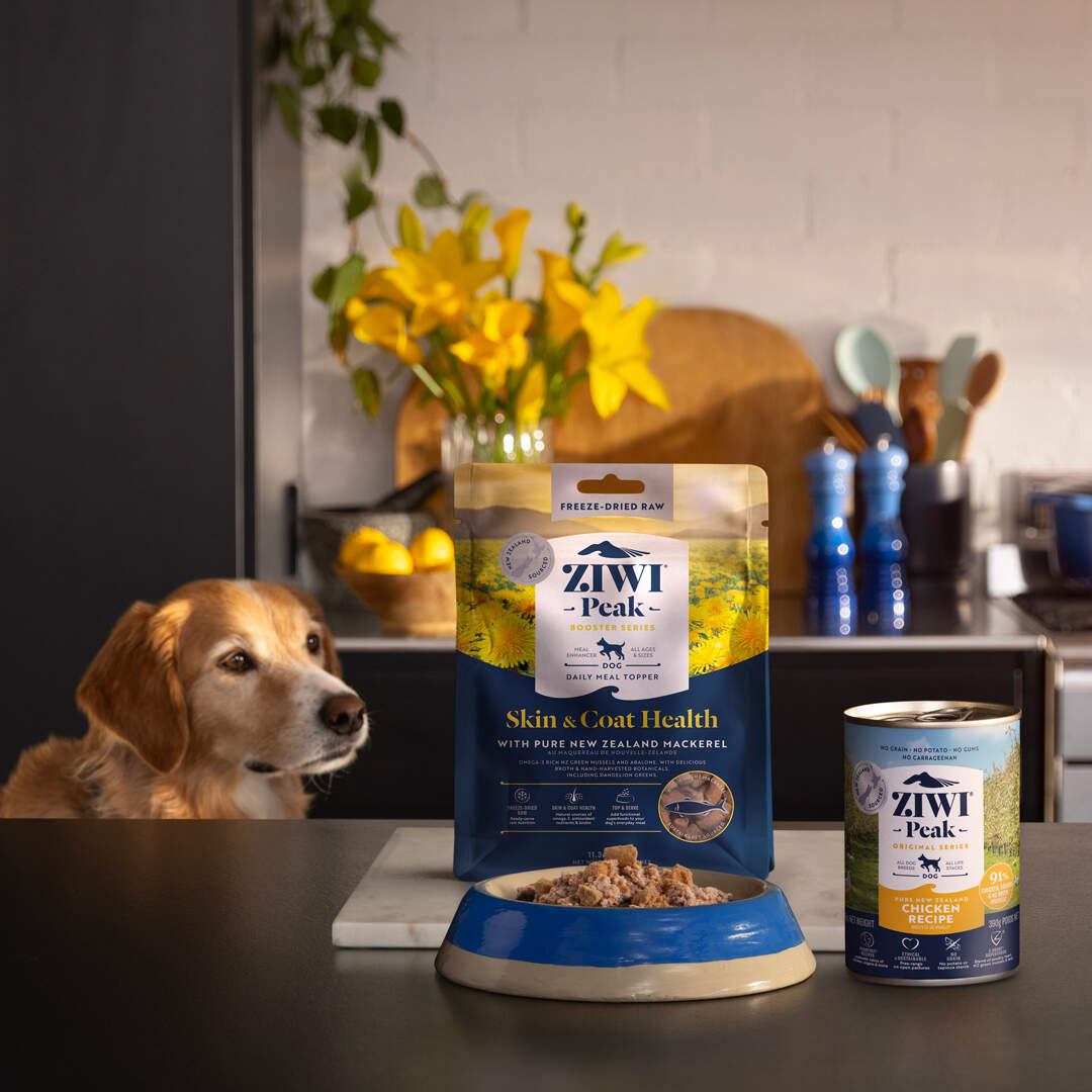 ZIWI Lifestyle Hero Tile